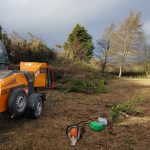Professional tree surgery services on the Isle of Wight