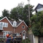 Isle of Wight Tree Surgery