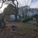 Men in Trees IOW at work