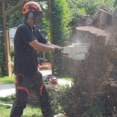 Affordable arborist service on the Isle of Wight
